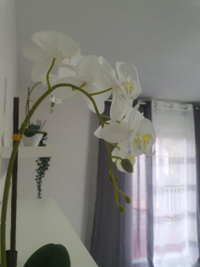 Apartamento Turia